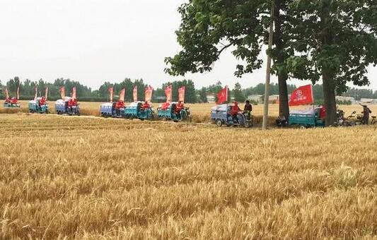  “助力麦收”，行业看了都点赞！