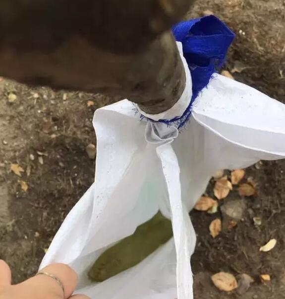 城阳园林局订购我司塑料编织袋一批已发货