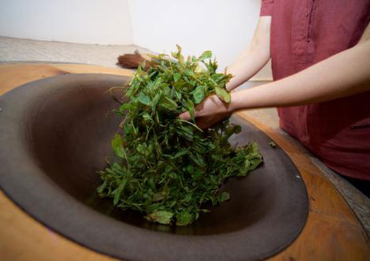 青岛编织袋厂家带您感受三月茶魅力